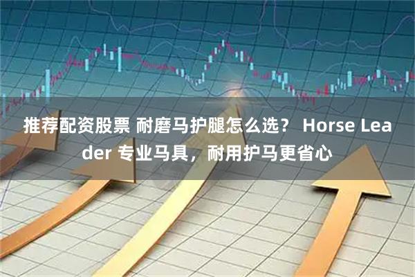 推荐配资股票 耐磨马护腿怎么选？ Horse Leader 专业马具，耐用护马更省心